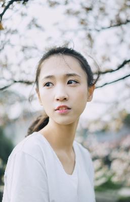 最好的我们小说